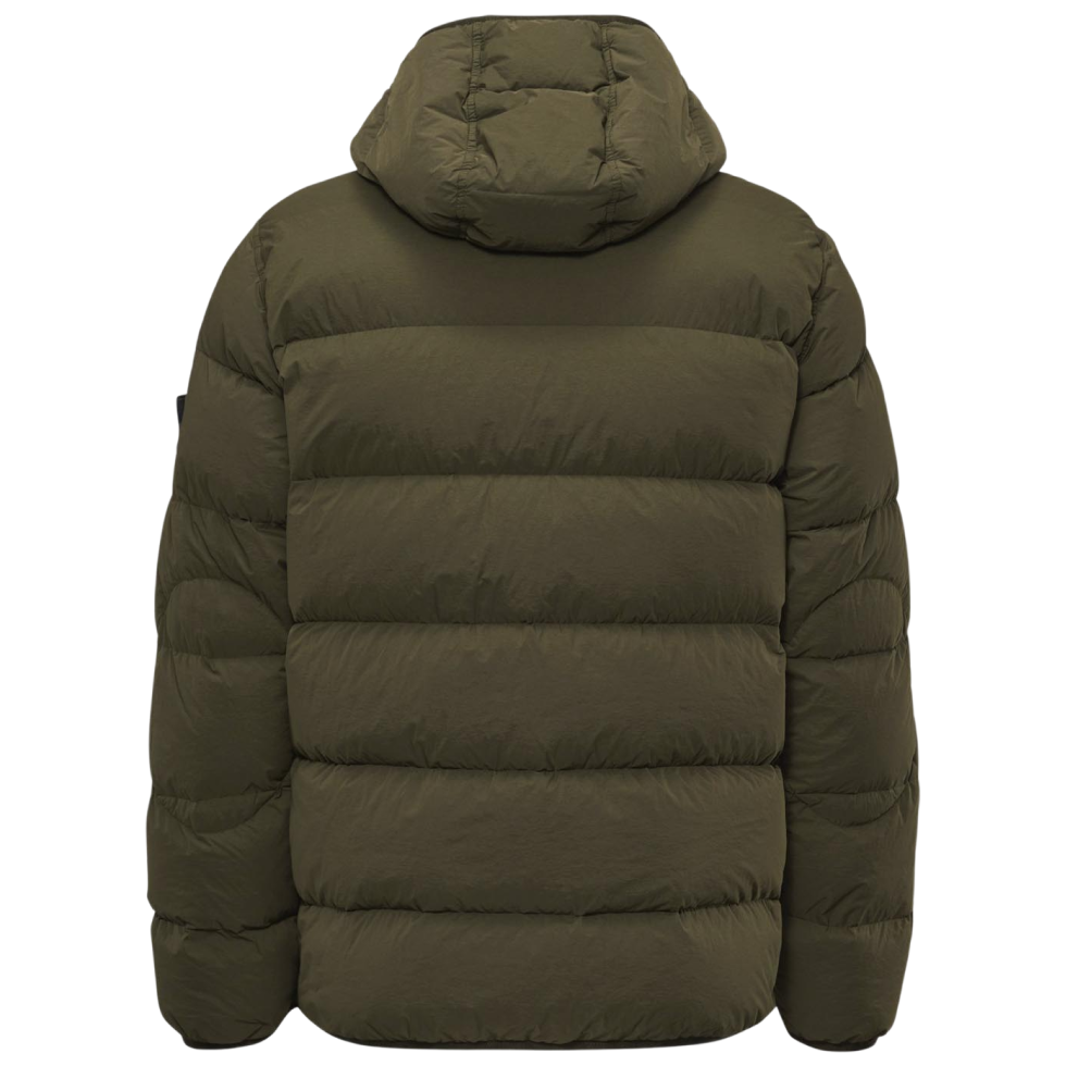 Winter Jacket