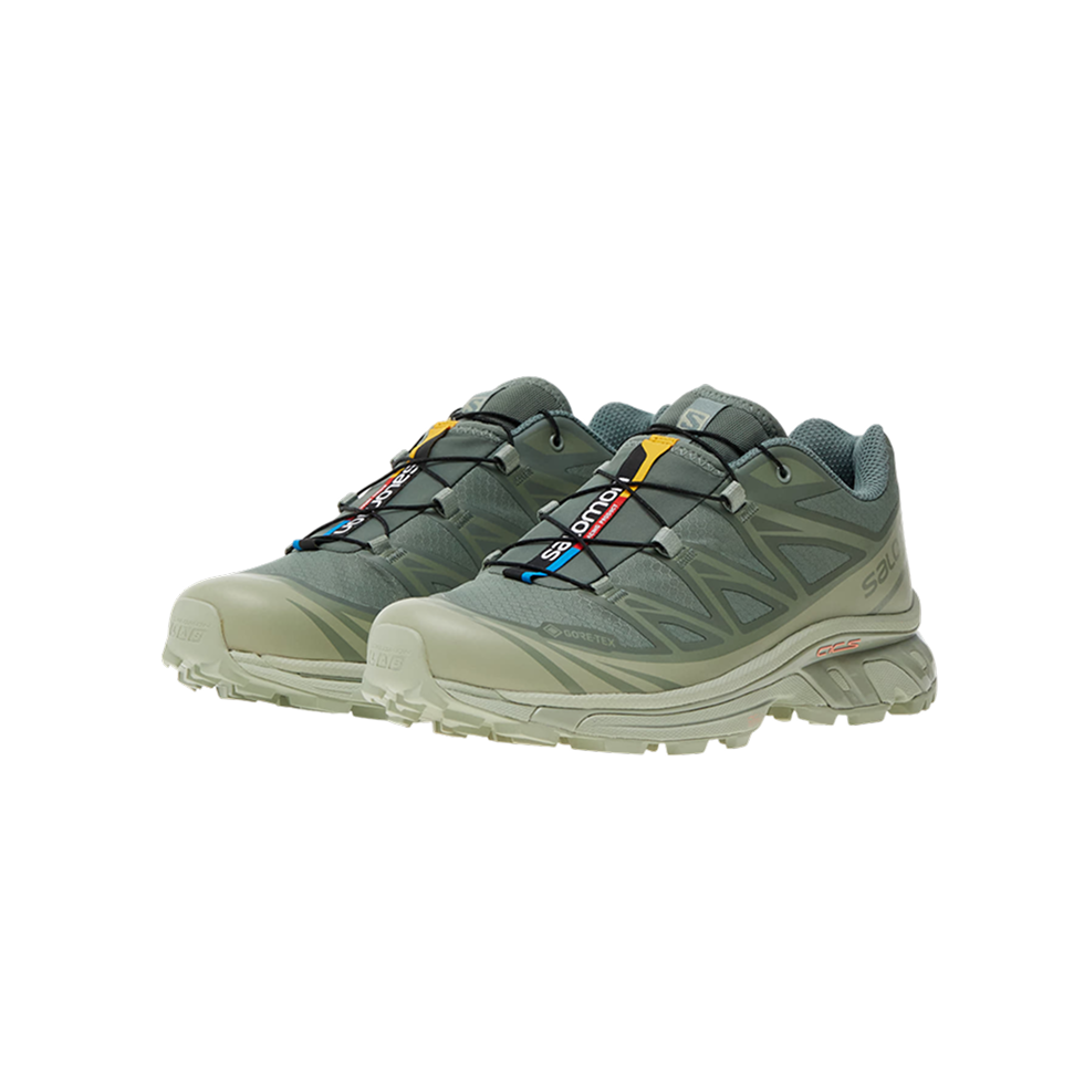 XT-6 Gore-Tex Sage Mint Pistachio